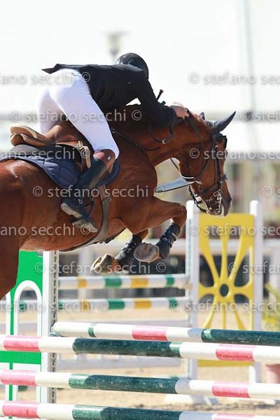 MATTEUCCI_IPPIA_GIO CAV 2011_SS3_7035.jpg